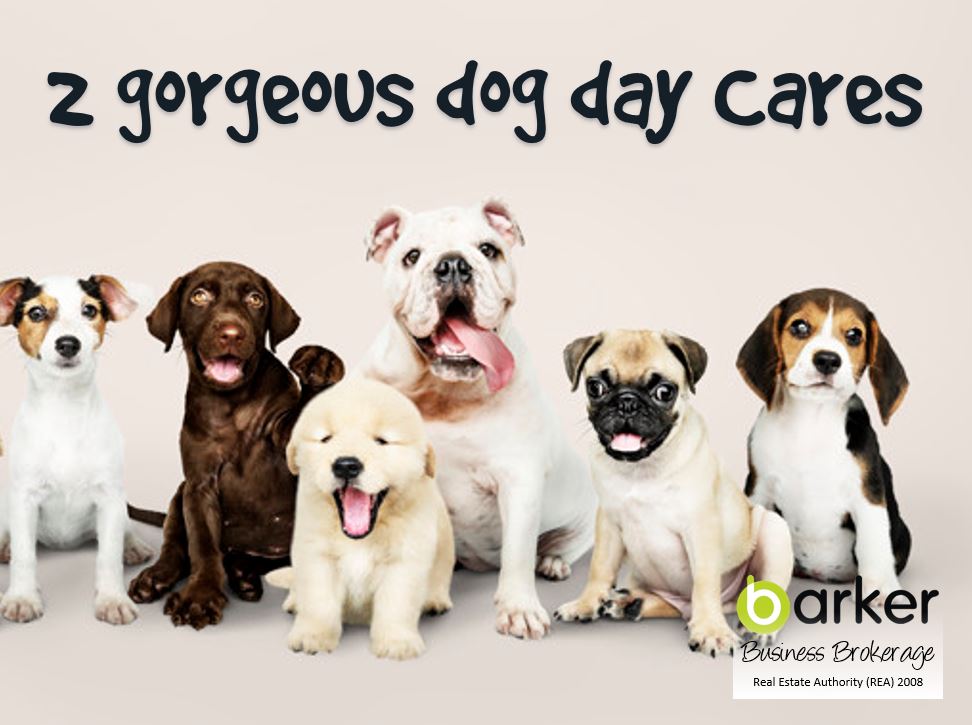 Barker Business LOOK Profitable Dog Day Care, 2 Locations!